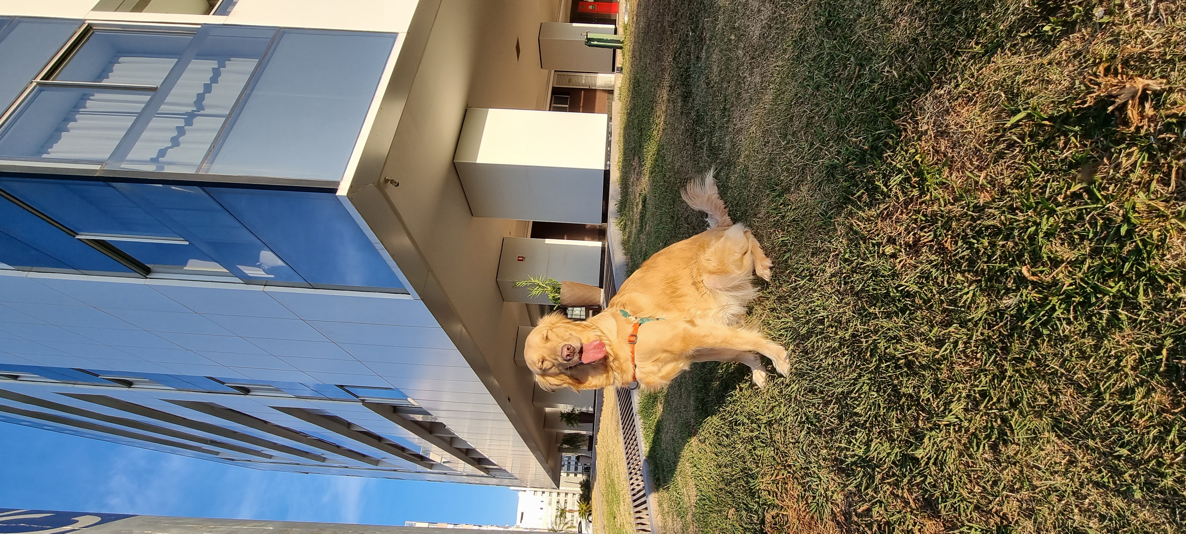 Candid moment with my dog.
